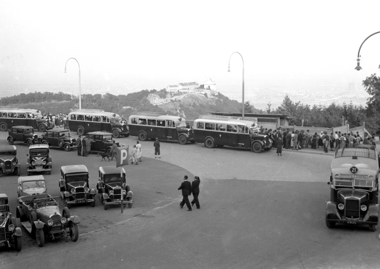 Am Kahlenberg treffen einander Busse der Marke Austro Fiat als Linie 21, um 1936