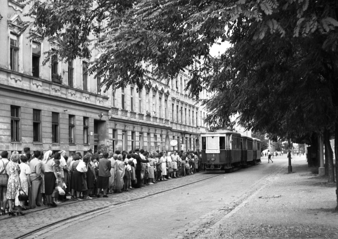 Bäderverkehr in Kaisermühlen etwa Sommer 1952 mit vielen wartenden Fahrgästen und Zug der Linie C mit dem K 2382 und Tonnendachbeiwagen fährt in Station ein.