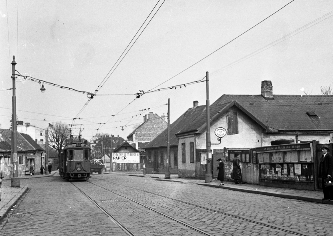 Zug der Linie 60 noch mit Stadtbahnwagen der Type N-n in Speising Fehlingergasse Juli 1953
