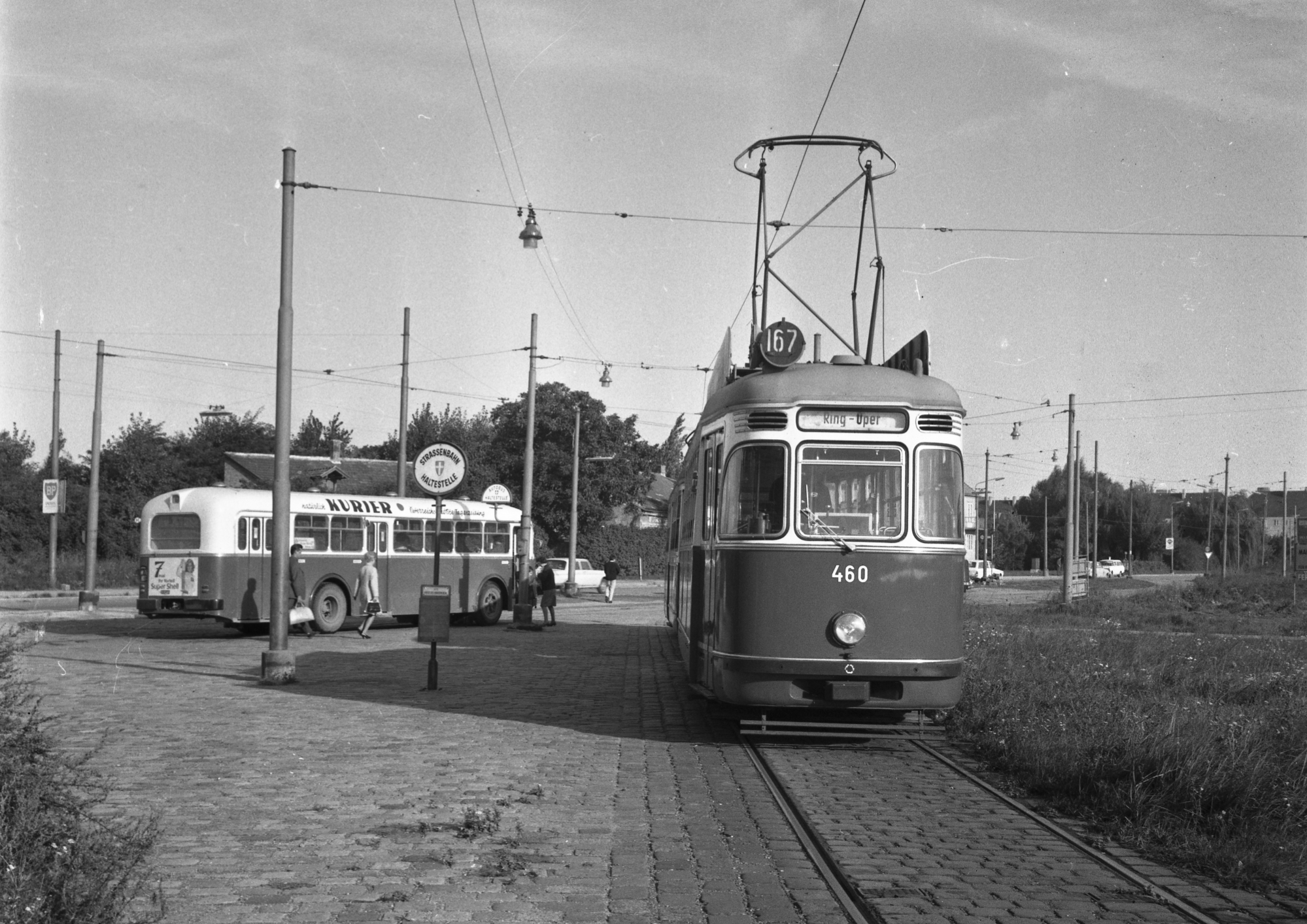 Triebwagen 460, der Type L, als Linie 167 und Bus als Linie 67 in Rothneusiedl unterwegs, 1966