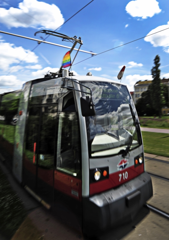 Anläßlich der Regenbogenparade 2013 sind die Straßenbahnen der Wiener Linien eingens beflaggt.