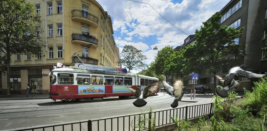 Straßenbahn der Linie 9.