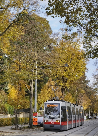 Straßenbahn der Linie 41 in der Pötzleinsdorfer Straße.