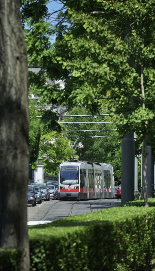 Straßenbahn der Linie 37.