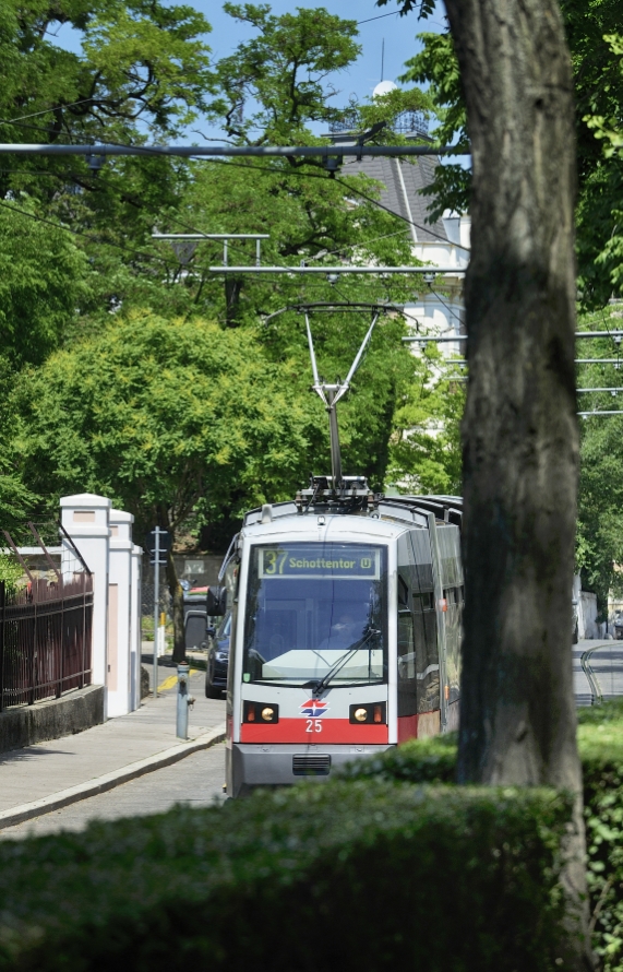 Straßenbahn der Linie 37.