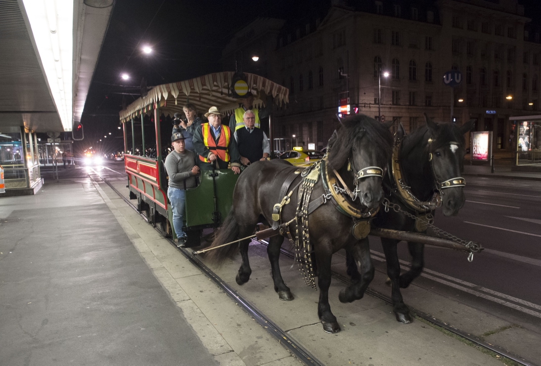 Probefahrt von historischen Fahrzeugen für Feier zu 150 Jahre Wiener Tramway auf der Ringstraße. Pferdetramway an Haltestelle Schottentor.