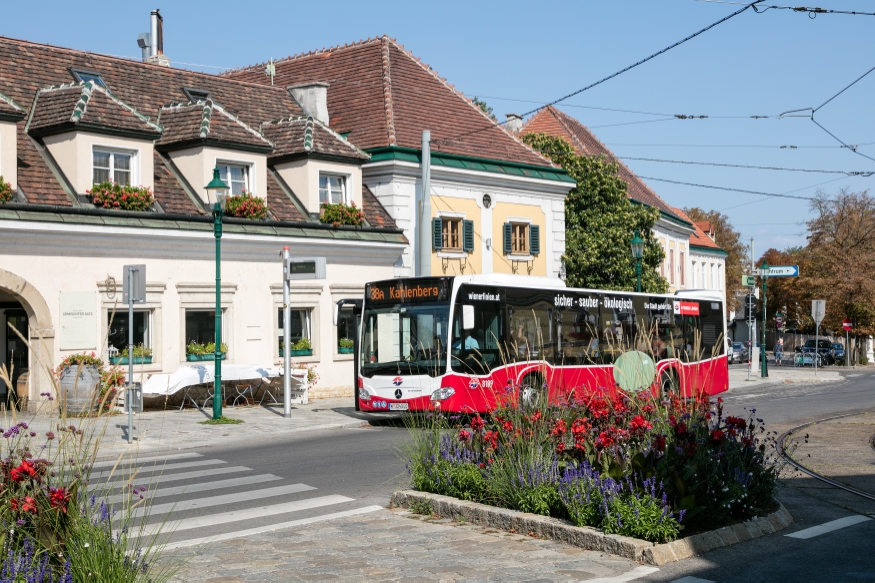 Die Buslinie 38A in Grinzing Fahrtrichtung Kahlenberg