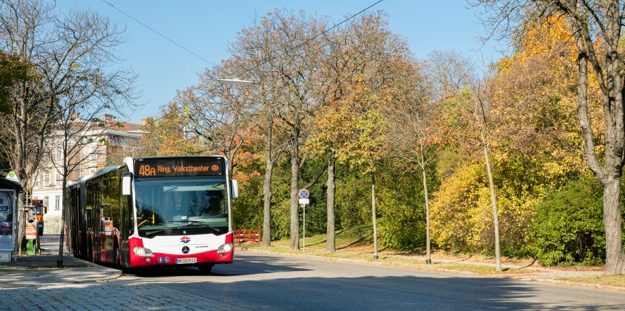 Bus Linie 48A Spiegelgrundstraße
