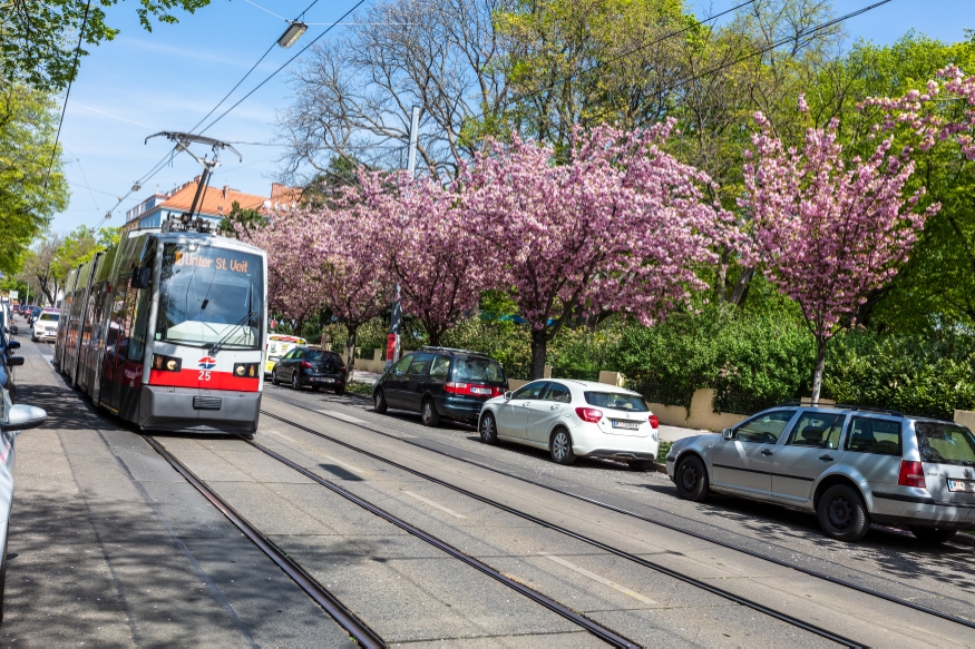Straßenbahn der Linie 10 fährt durch das frühlingshafte Wien