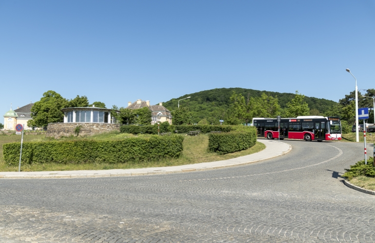 Autobus Linie 38A am Cobenzl unterwegs