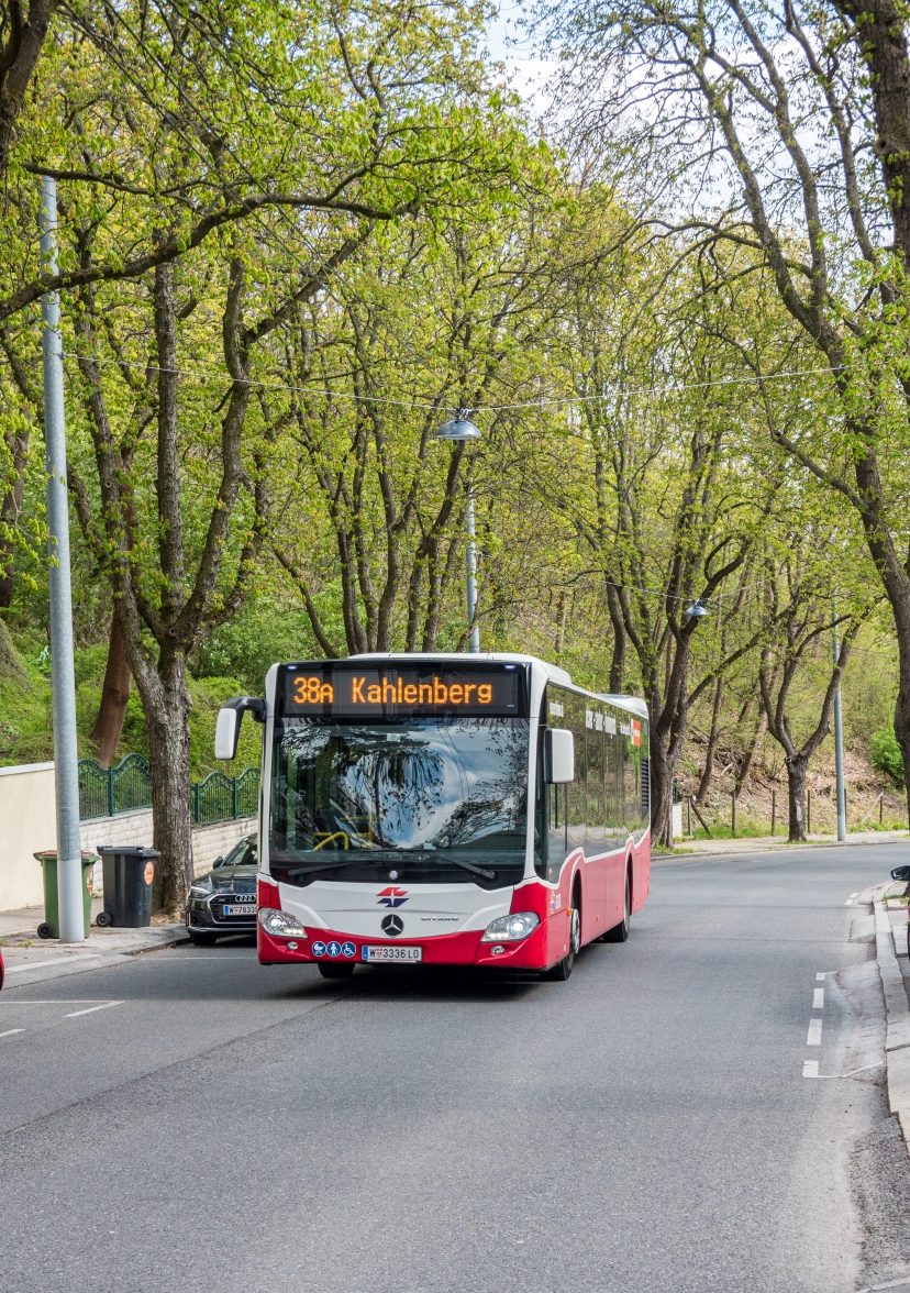 Bus Linie 38A in Grinzing Höhenstraße Fahrtrichtung Kahlenberg