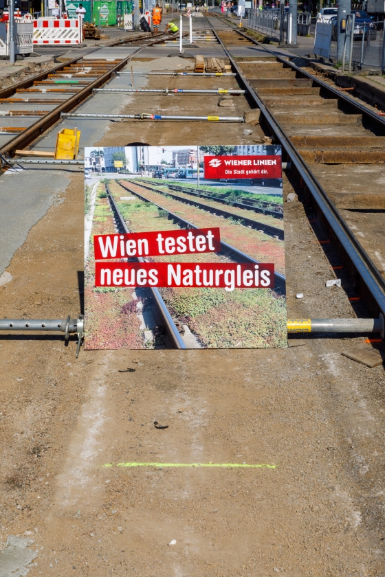 Wiener Linien testen neues Grüngleis