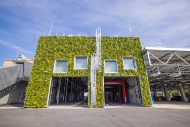 Begrünte Fassade Siebenhirten